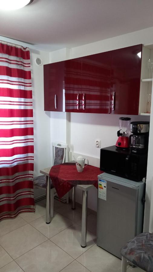 Garsoniera Natalia Apartment Sibiu Exterior photo